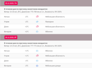 Погода в Стамбуле на Новый Год