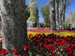 Стамбул в апреле