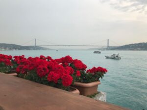 Del Mare Ristorante (рыбный ресторан)