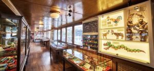 Музей Рахми М.Коча в Стамбуле