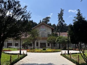 В Стамбул самостоятельно впервые