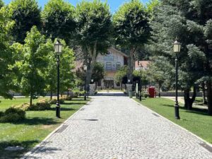 Стамбул по цветам